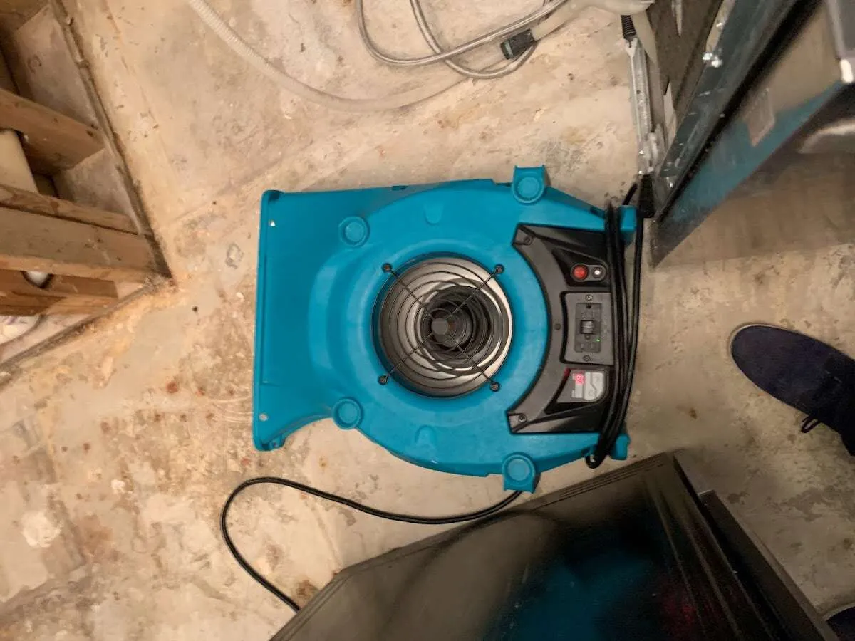 Air mover drying equipment for Mold Remediation & Removal in Haddon