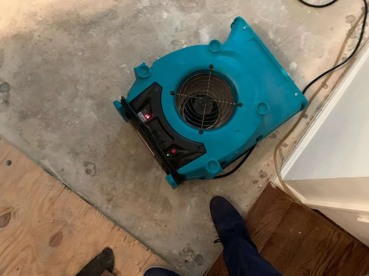 Air mover drying subfloor during Leak Detection & Repair in Haddon
